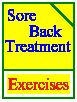 Back Pain Relief System