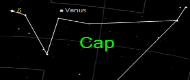 Capricornus the Sea Goat